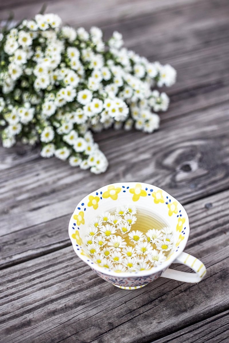 Chamomile Infusion
