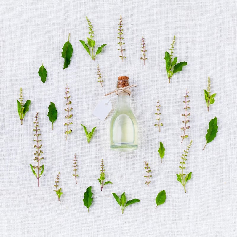 Witch's Herbary